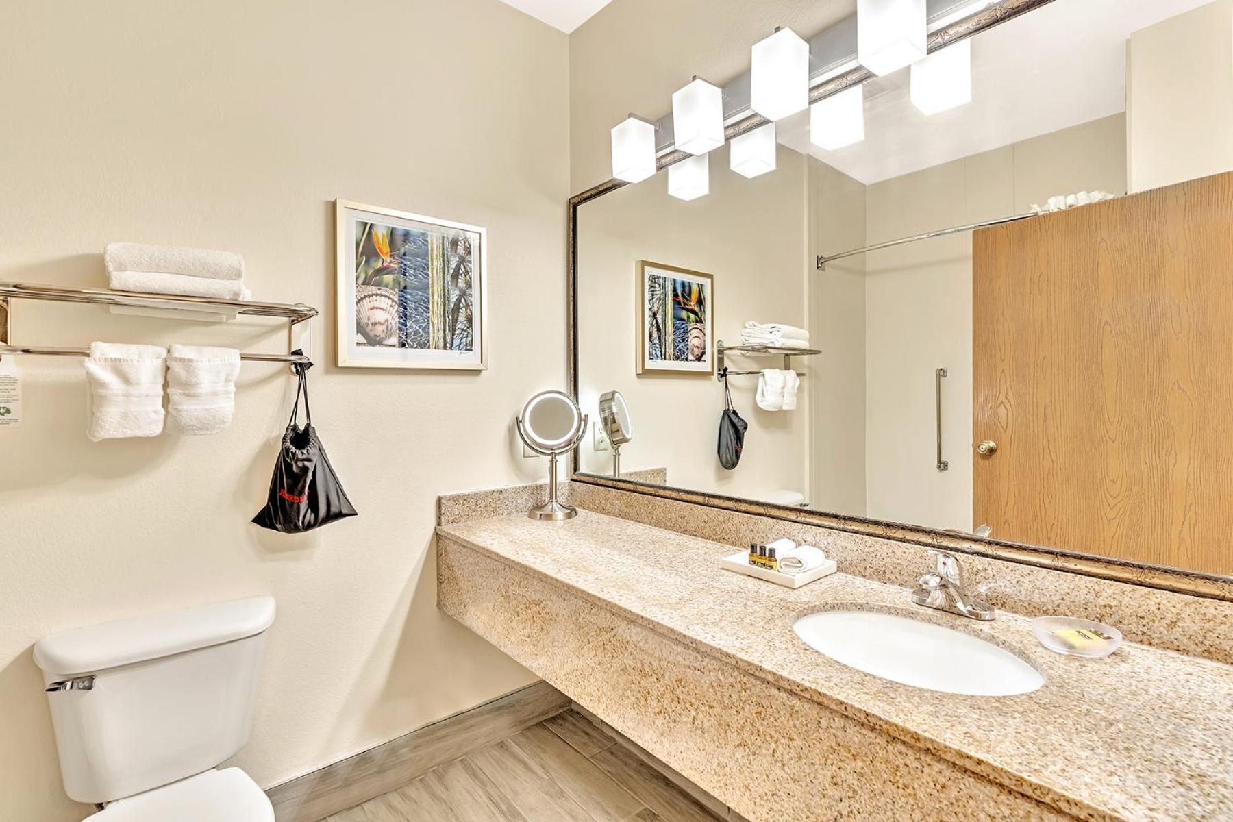 Best Western Plus Lewisville Flower Mound Quarto foto